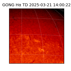 gong - 2025-03-21T14:00:22