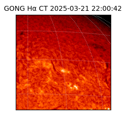 gong - 2025-03-21T22:00:42