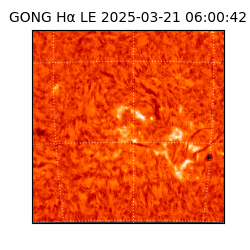 gong - 2025-03-21T06:00:42