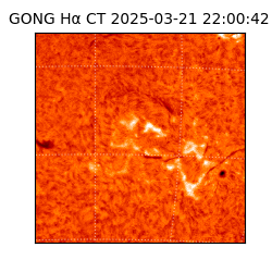gong - 2025-03-21T22:00:42