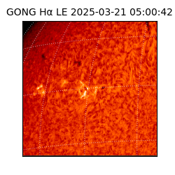 gong - 2025-03-21T05:00:42