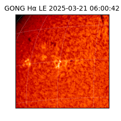 gong - 2025-03-21T06:00:42