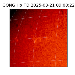 gong - 2025-03-21T09:00:22