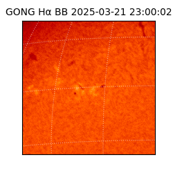 gong - 2025-03-21T23:00:02