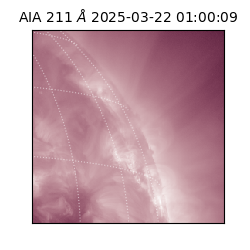saia - 2025-03-22T01:00:09.640000