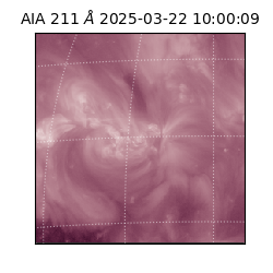 saia - 2025-03-22T10:00:09.623000