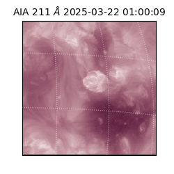 saia - 2025-03-22T01:00:09.640000