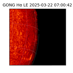 gong - 2025-03-22T07:00:42
