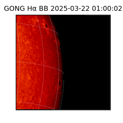 gong - 2025-03-22T01:00:02