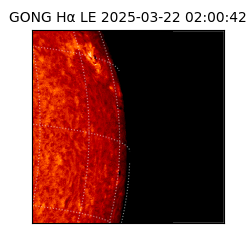 gong - 2025-03-22T02:00:42