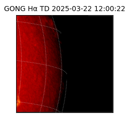 gong - 2025-03-22T12:00:22