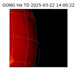 gong - 2025-03-22T14:00:22