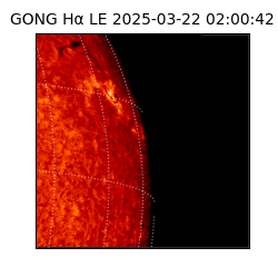 gong - 2025-03-22T02:00:42