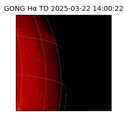 gong - 2025-03-22T14:00:22