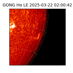 gong - 2025-03-22T02:00:42