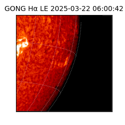 gong - 2025-03-22T06:00:42