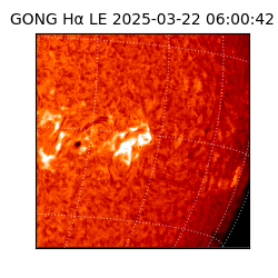 gong - 2025-03-22T06:00:42