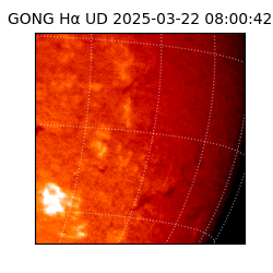 gong - 2025-03-22T08:00:42