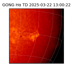 gong - 2025-03-22T13:00:22