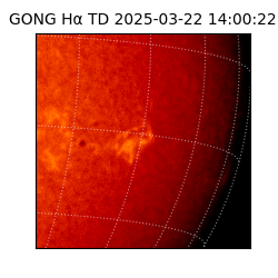 gong - 2025-03-22T14:00:22