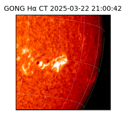 gong - 2025-03-22T21:00:42