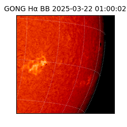 gong - 2025-03-22T01:00:02