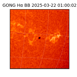 gong - 2025-03-22T01:00:02