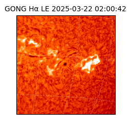 gong - 2025-03-22T02:00:42