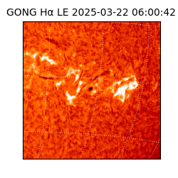 gong - 2025-03-22T06:00:42