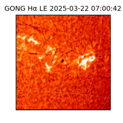 gong - 2025-03-22T07:00:42