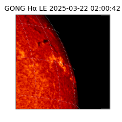 gong - 2025-03-22T02:00:42