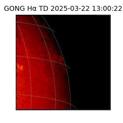 gong - 2025-03-22T13:00:22