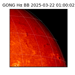 gong - 2025-03-22T01:00:02