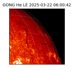gong - 2025-03-22T06:00:42