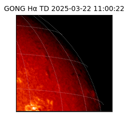 gong - 2025-03-22T11:00:22
