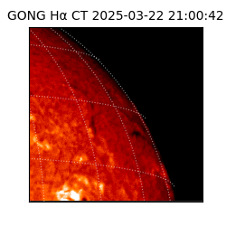 gong - 2025-03-22T21:00:42