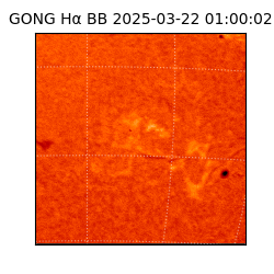 gong - 2025-03-22T01:00:02