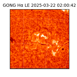 gong - 2025-03-22T02:00:42