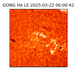 gong - 2025-03-22T06:00:42