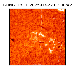 gong - 2025-03-22T07:00:42