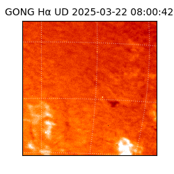 gong - 2025-03-22T08:00:42