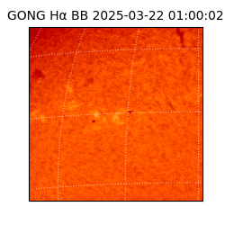 gong - 2025-03-22T01:00:02