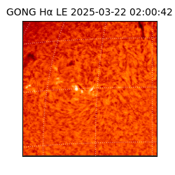 gong - 2025-03-22T02:00:42