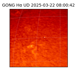 gong - 2025-03-22T08:00:42