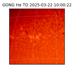 gong - 2025-03-22T10:00:22