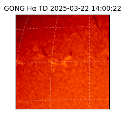 gong - 2025-03-22T14:00:22