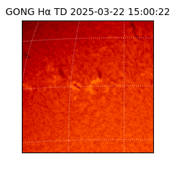 gong - 2025-03-22T15:00:22