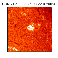gong - 2025-03-22T07:00:42
