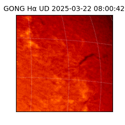 gong - 2025-03-22T08:00:42