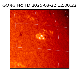 gong - 2025-03-22T12:00:22